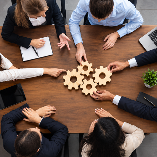 Business Growth Guidance